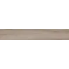 Orme gris cendré